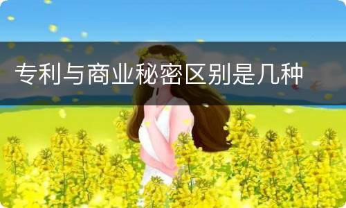 专利与商业秘密区别是几种