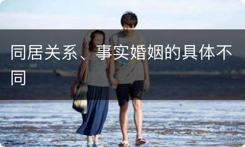 同居关系、事实婚姻的具体不同