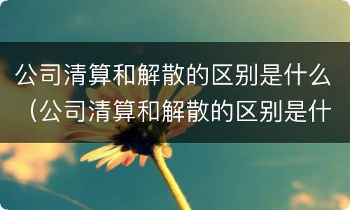 公司清算和解散的区别是什么（公司清算和解散的区别是什么呢）
