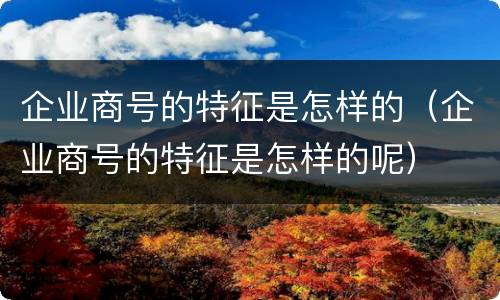企业商号的特征是怎样的（企业商号的特征是怎样的呢）