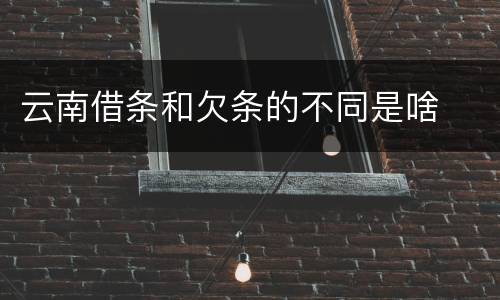 云南借条和欠条的不同是啥