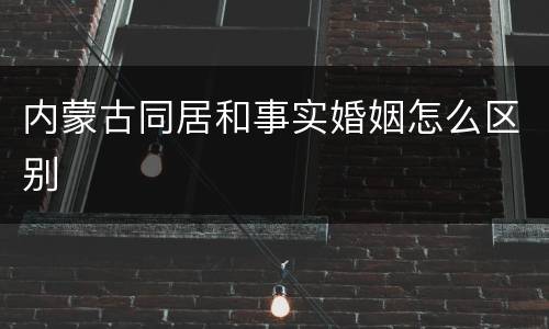 内蒙古同居和事实婚姻怎么区别