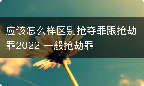 应该怎么样区别抢夺罪跟抢劫罪2022 一般抢劫罪