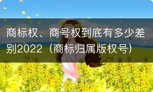 商标权、商号权到底有多少差别2022（商标归属版权号）