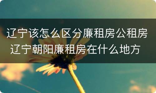辽宁该怎么区分廉租房公租房 辽宁朝阳廉租房在什么地方