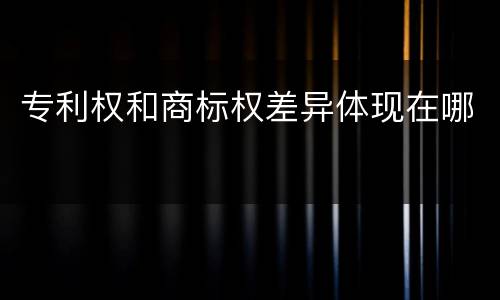 专利权和商标权差异体现在哪