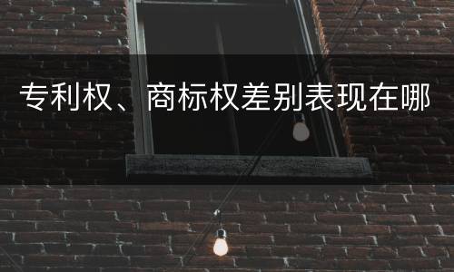 专利权、商标权差别表现在哪
