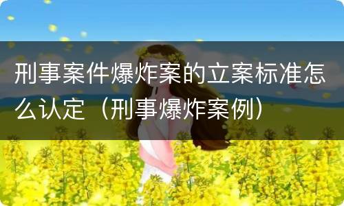 刑事案件爆炸案的立案标准怎么认定（刑事爆炸案例）