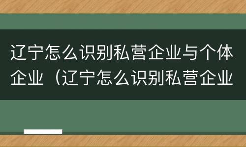 辽宁怎么识别私营企业与个体企业（辽宁怎么识别私营企业与个体企业的区别）
