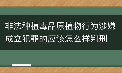非法种植毒品原植物行为涉嫌成立犯罪的应该怎么样判刑