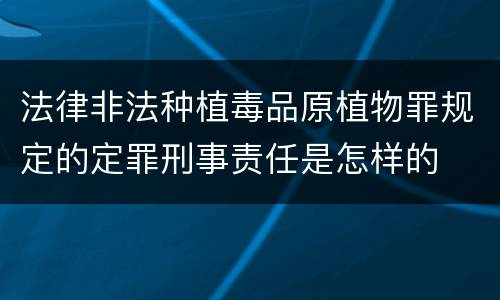 法律非法种植毒品原植物罪规定的定罪刑事责任是怎样的