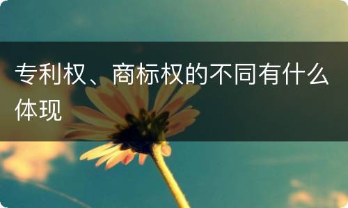 专利权、商标权的不同有什么体现