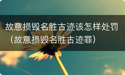 故意损毁名胜古迹该怎样处罚（故意损毁名胜古迹罪）