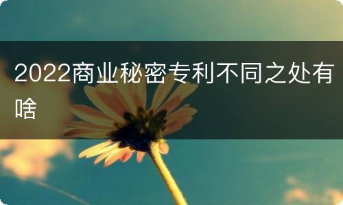 2022商业秘密专利不同之处有啥