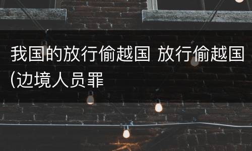 我国的放行偷越国 放行偷越国(边境人员罪