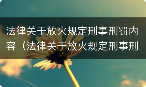 法律关于放火规定刑事刑罚内容（法律关于放火规定刑事刑罚内容是什么）