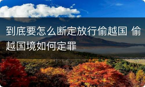 到底要怎么断定放行偷越国 偷越国境如何定罪