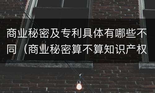 商业秘密及专利具体有哪些不同（商业秘密算不算知识产权）