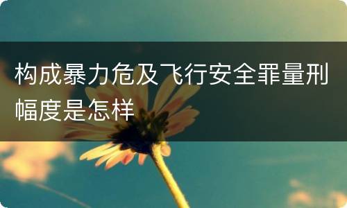 构成暴力危及飞行安全罪量刑幅度是怎样