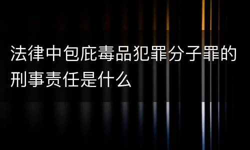 法律中包庇毒品犯罪分子罪的刑事责任是什么