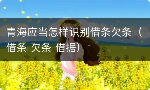 青海应当怎样识别借条欠条（借条 欠条 借据）