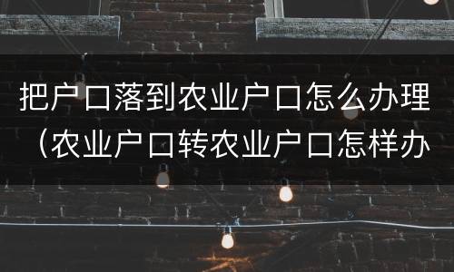 把户口落到农业户口怎么办理（农业户口转农业户口怎样办理）