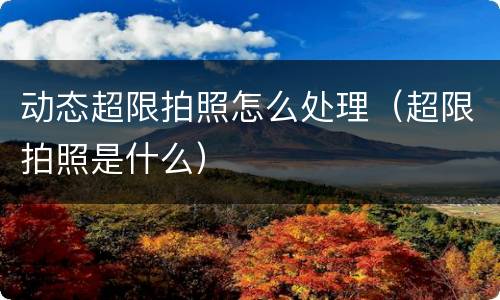 动态超限拍照怎么处理（超限拍照是什么）