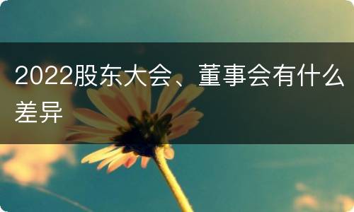 2022股东大会、董事会有什么差异