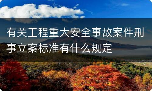 有关工程重大安全事故案件刑事立案标准有什么规定