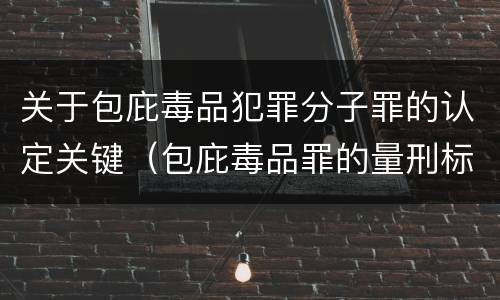 关于包庇毒品犯罪分子罪的认定关键（包庇毒品罪的量刑标准）