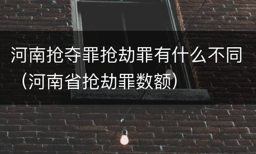河南抢夺罪抢劫罪有什么不同（河南省抢劫罪数额）