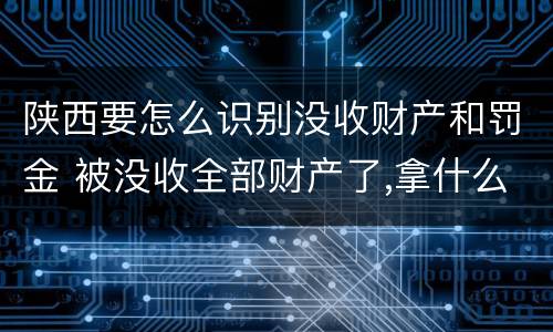 陕西要怎么识别没收财产和罚金 被没收全部财产了,拿什么交罚金