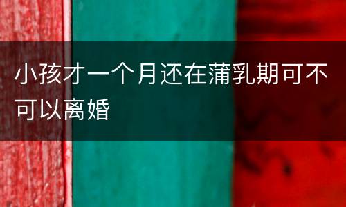 小孩才一个月还在蒲乳期可不可以离婚