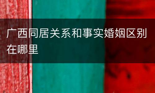 广西同居关系和事实婚姻区别在哪里