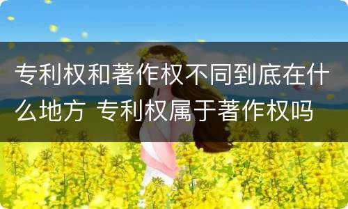 专利权和著作权不同到底在什么地方 专利权属于著作权吗