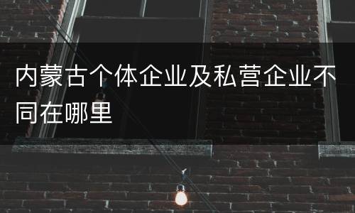 内蒙古个体企业及私营企业不同在哪里