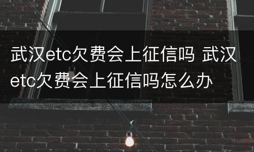 武汉etc欠费会上征信吗 武汉etc欠费会上征信吗怎么办