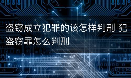 盗窃成立犯罪的该怎样判刑 犯盗窃罪怎么判刑