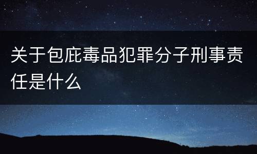 关于包庇毒品犯罪分子刑事责任是什么