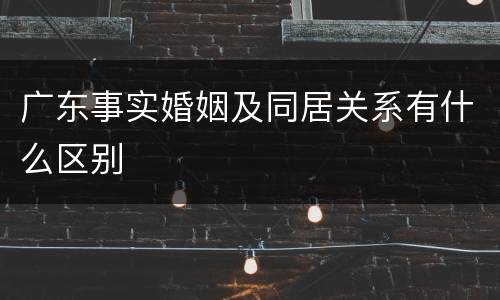 广东事实婚姻及同居关系有什么区别