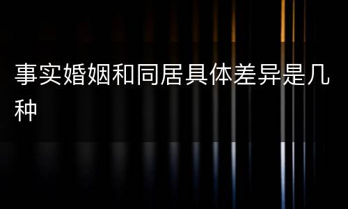 事实婚姻和同居具体差异是几种