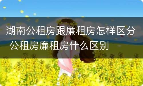 湖南公租房跟廉租房怎样区分 公租房廉租房什么区别