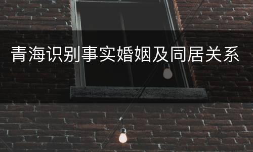 青海识别事实婚姻及同居关系