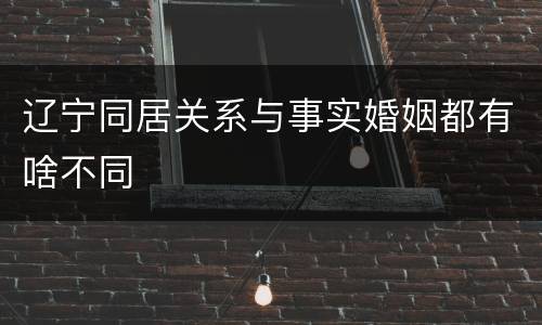 辽宁同居关系与事实婚姻都有啥不同