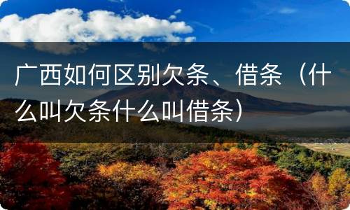 广西如何区别欠条、借条（什么叫欠条什么叫借条）
