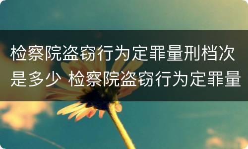 检察院盗窃行为定罪量刑档次是多少 检察院盗窃行为定罪量刑档次是多少