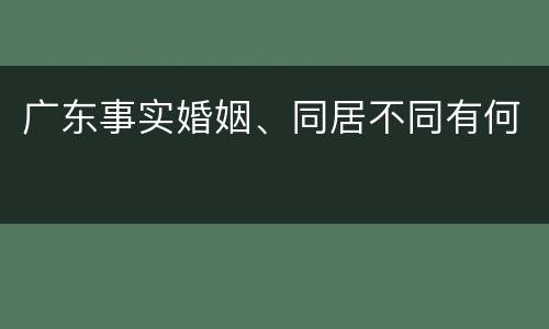 广东事实婚姻、同居不同有何