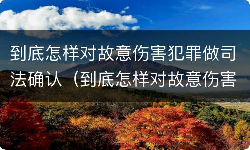 到底怎样对故意伤害犯罪做司法确认（到底怎样对故意伤害犯罪做司法确认）