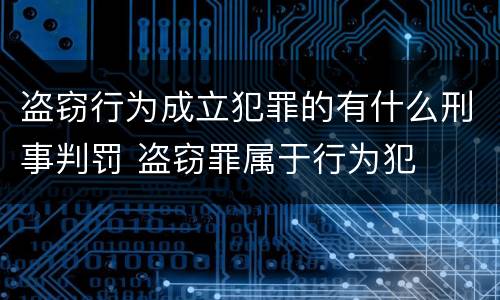 盗窃行为成立犯罪的有什么刑事判罚 盗窃罪属于行为犯