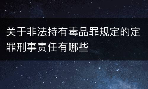 关于非法持有毒品罪规定的定罪刑事责任有哪些